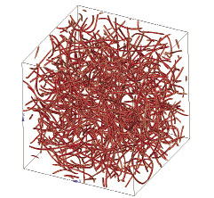 Percolation study of a Polymer/CNT Nanocomposite Representative Volume Element